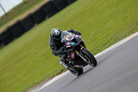 PJ-Motorsport-2019;anglesey-no-limits-trackday;anglesey-photographs;anglesey-trackday-photographs;enduro-digital-images;event-digital-images;eventdigitalimages;no-limits-trackdays;peter-wileman-photography;racing-digital-images;trac-mon;trackday-digital-images;trackday-photos;ty-croes